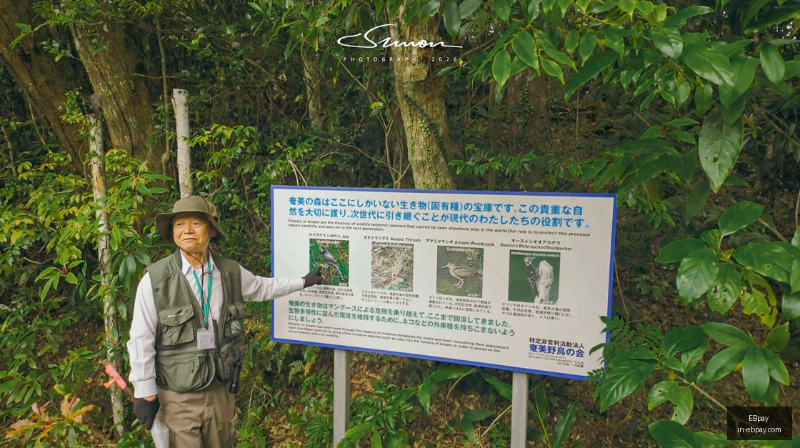 行业分析,普跌潮中,避雷指南与,EBpay官网,EBpay支付方式,EBpay选购指南,EBpay服务,快速支付